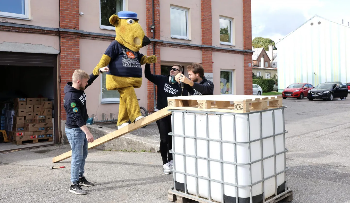 Osa tudengipäevade korraldustiimist ehk Markus Tulf (vasakult), Joonas Masing ja Ingo Reiljan tutvustasid eile rebasteerimisel kasutatavat atraktsiooni, mida läbis festivali maskott Villem.