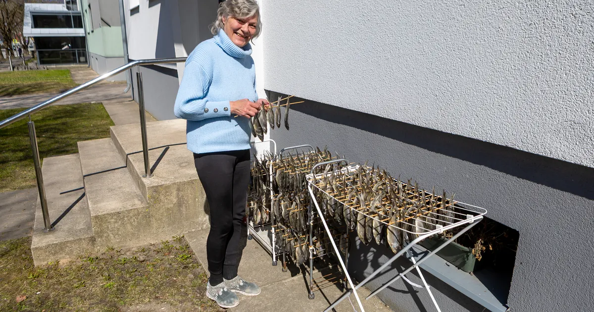 Kevad jõuab Torni tänavale koos kuivavate särgedega