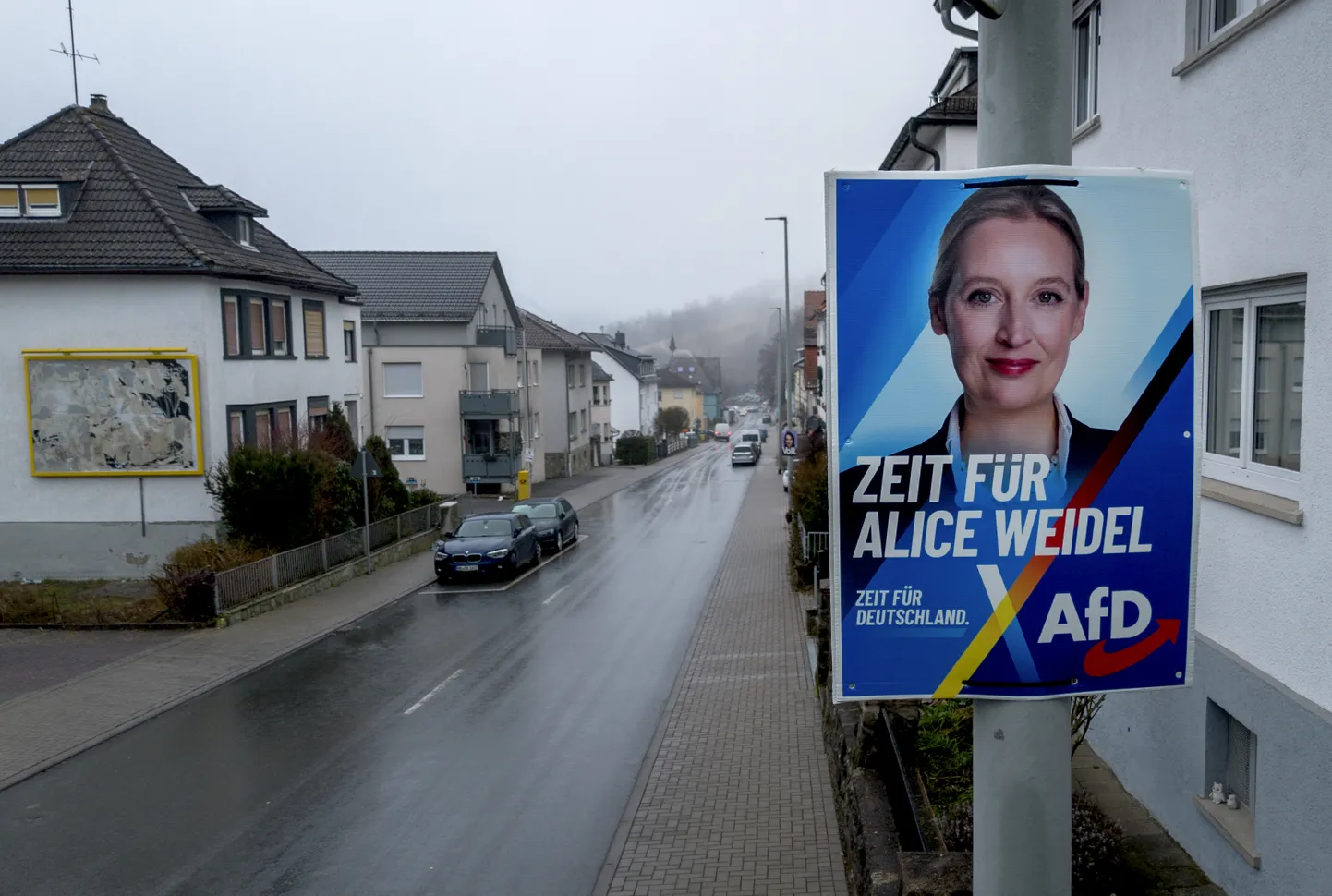 Предвыборный плакат AfD в Нидеррейфенберге