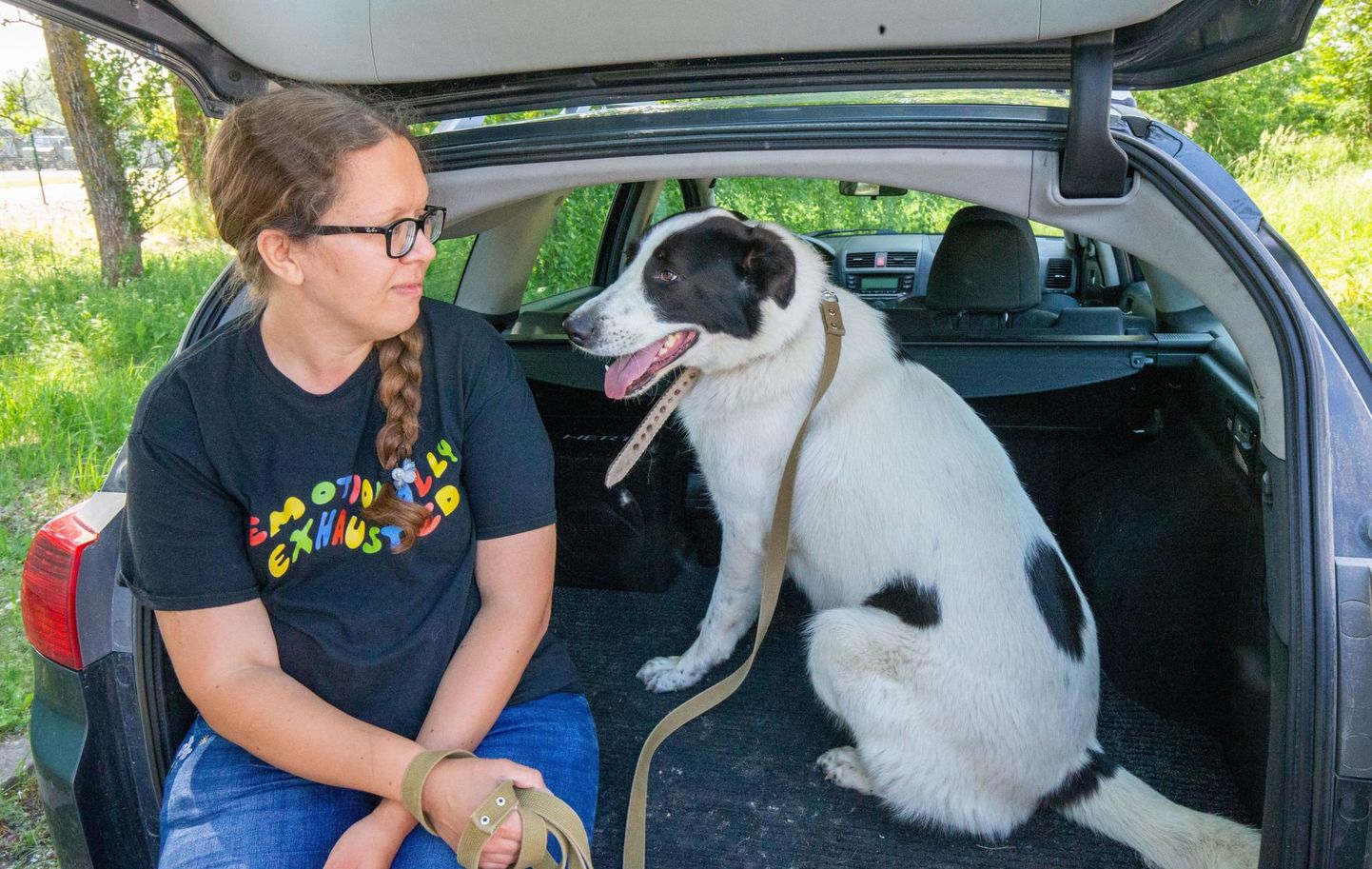 Juba aasta aega uut kodu oodanud Robi oskab autos käituda, ütles Tartu koduta loomade varjupaiga administraator Jaanika Soodla.