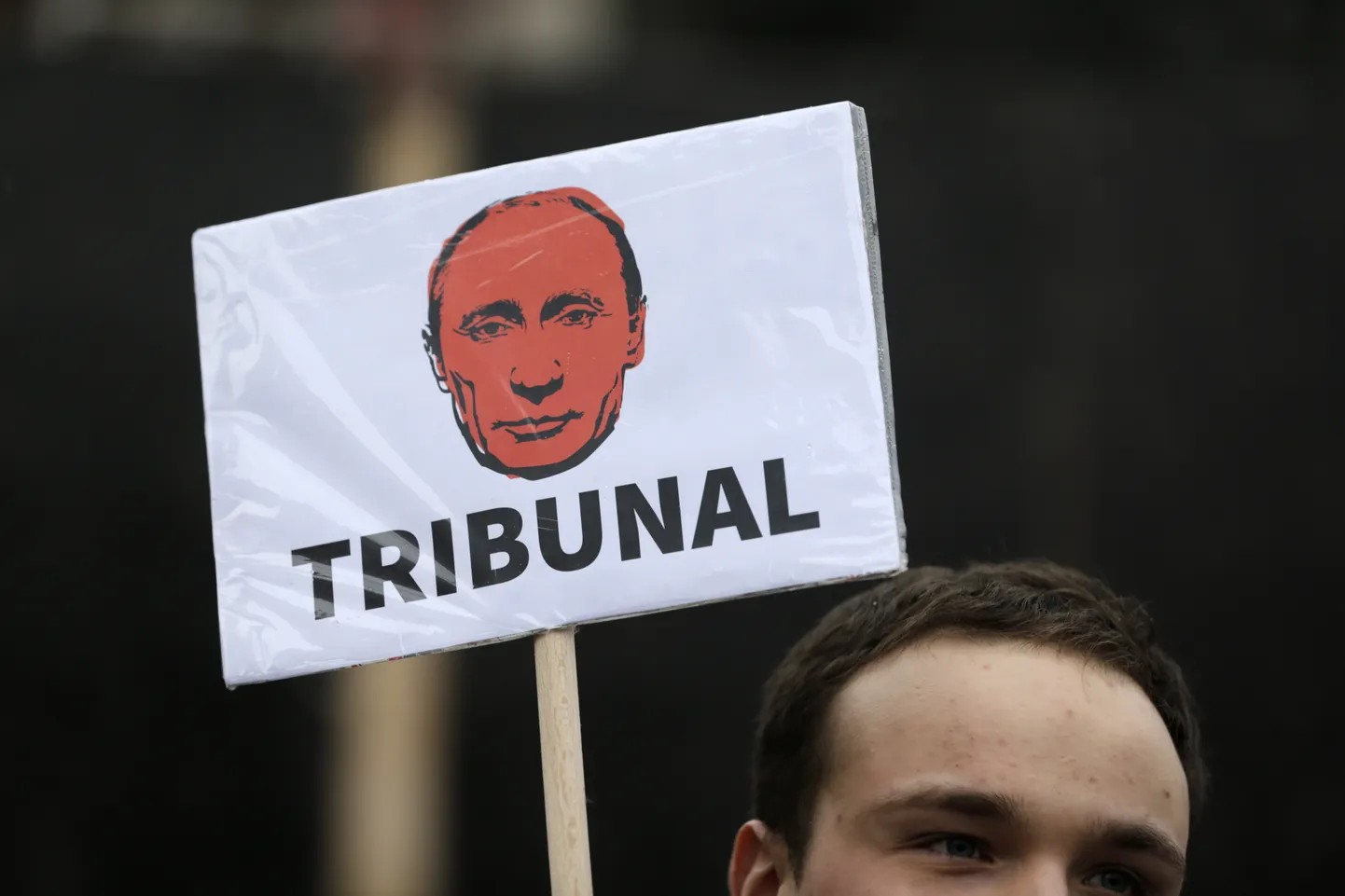 Протестующий держит плакат с изображением президента России Владимира Путина,   Белград, Сербия, 24 декабря 2022 года.