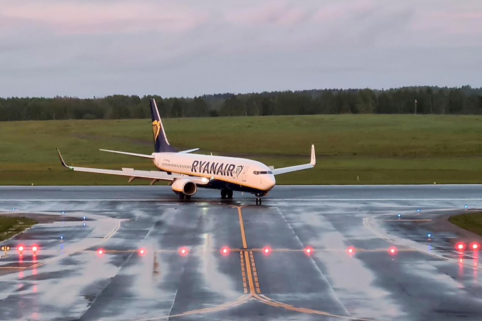 Вынужденная посадка самолета Ryanair в Беларуси.