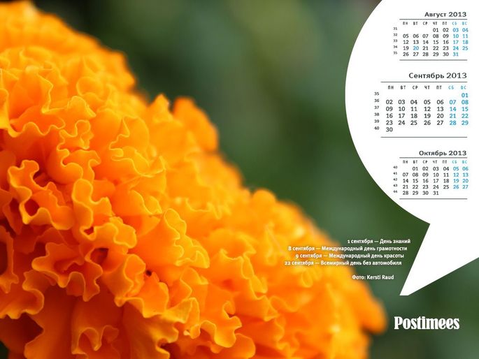 Скачайте обои-календарь Postimees.ru на сентябрь!