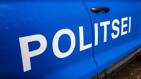 Auto sõitis Reiu kandis teepiirdesse