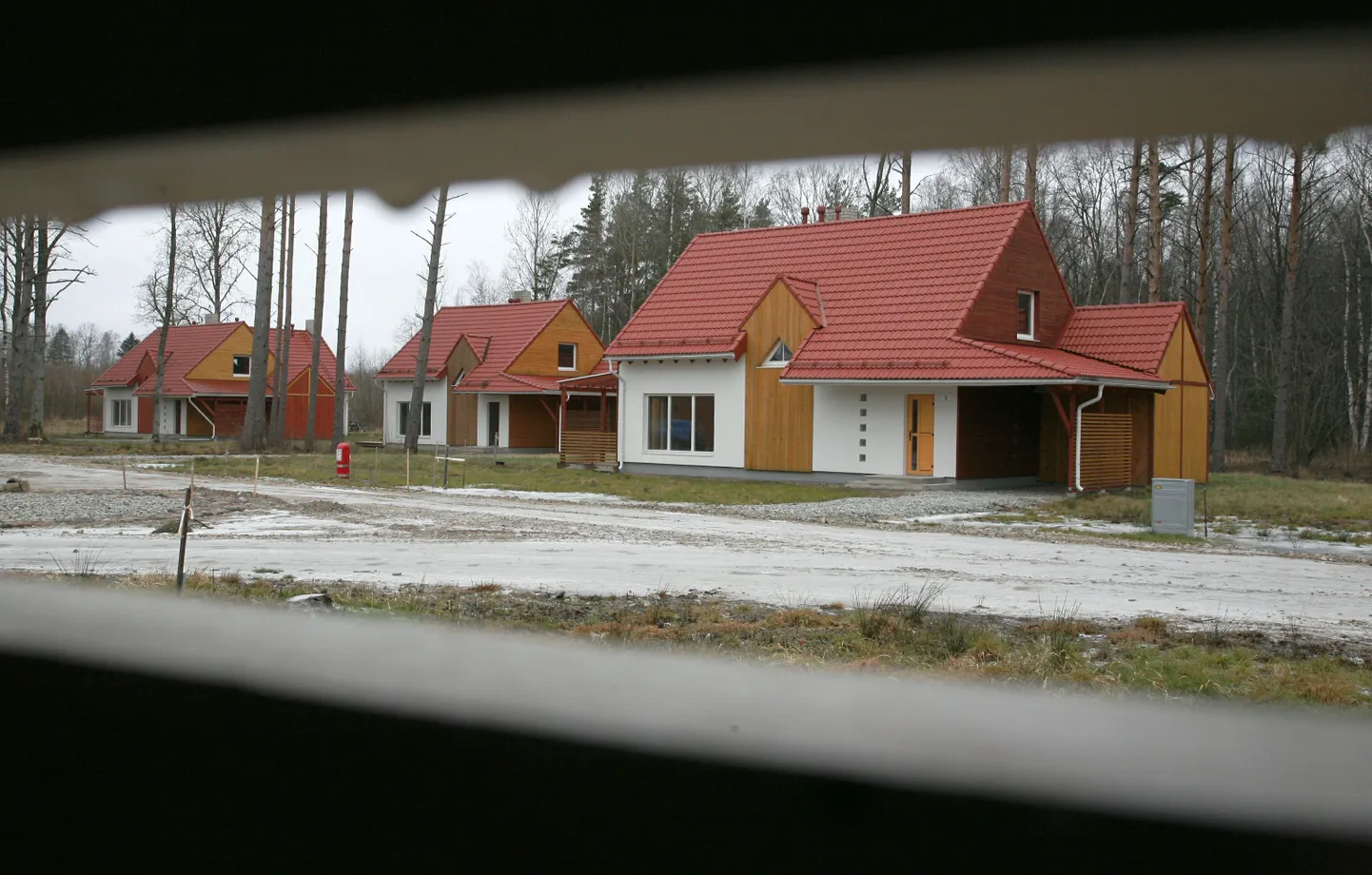 Kuldlõvi uuselamurajoon Pärnu lähedal.
