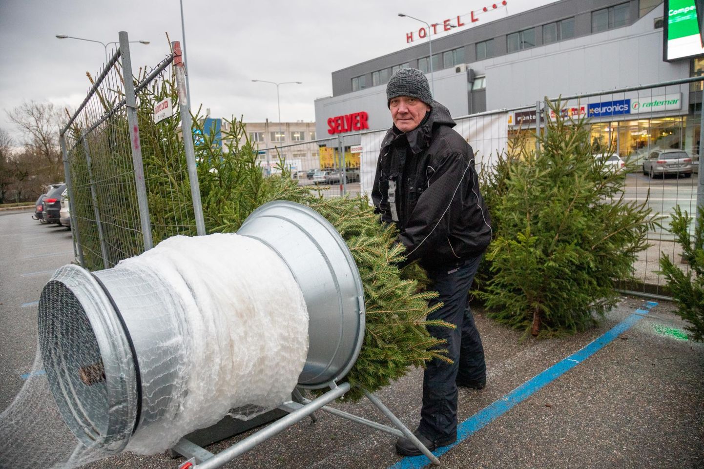 Bussijaama parkimisplatsil müüjatööd tegev Andreas Naar laseb jõulukuuski lõigata nii palju, kui arvab neid vaja minevat.