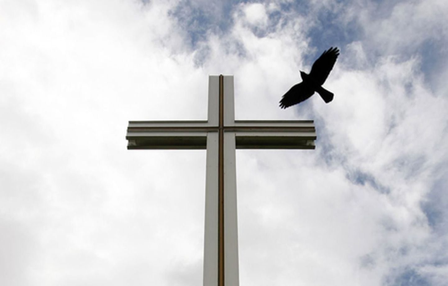 Крест и птица. Иллюстративное фото