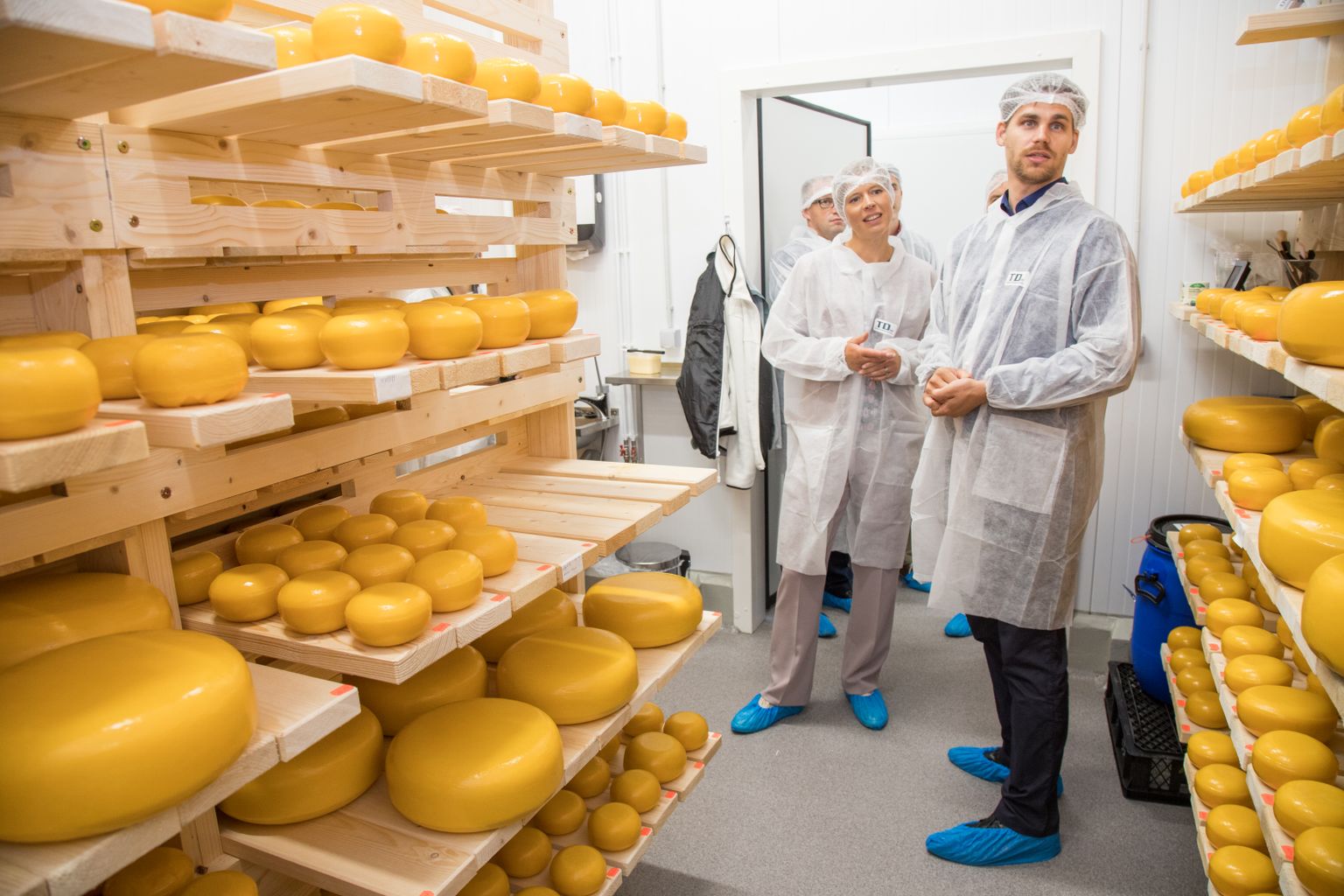 Pajumäe talu uues meiereis käib peremees Viljar Veidenbergi (paremal) sõnul muu hulgas ka paari uue juustusordi tegemine.