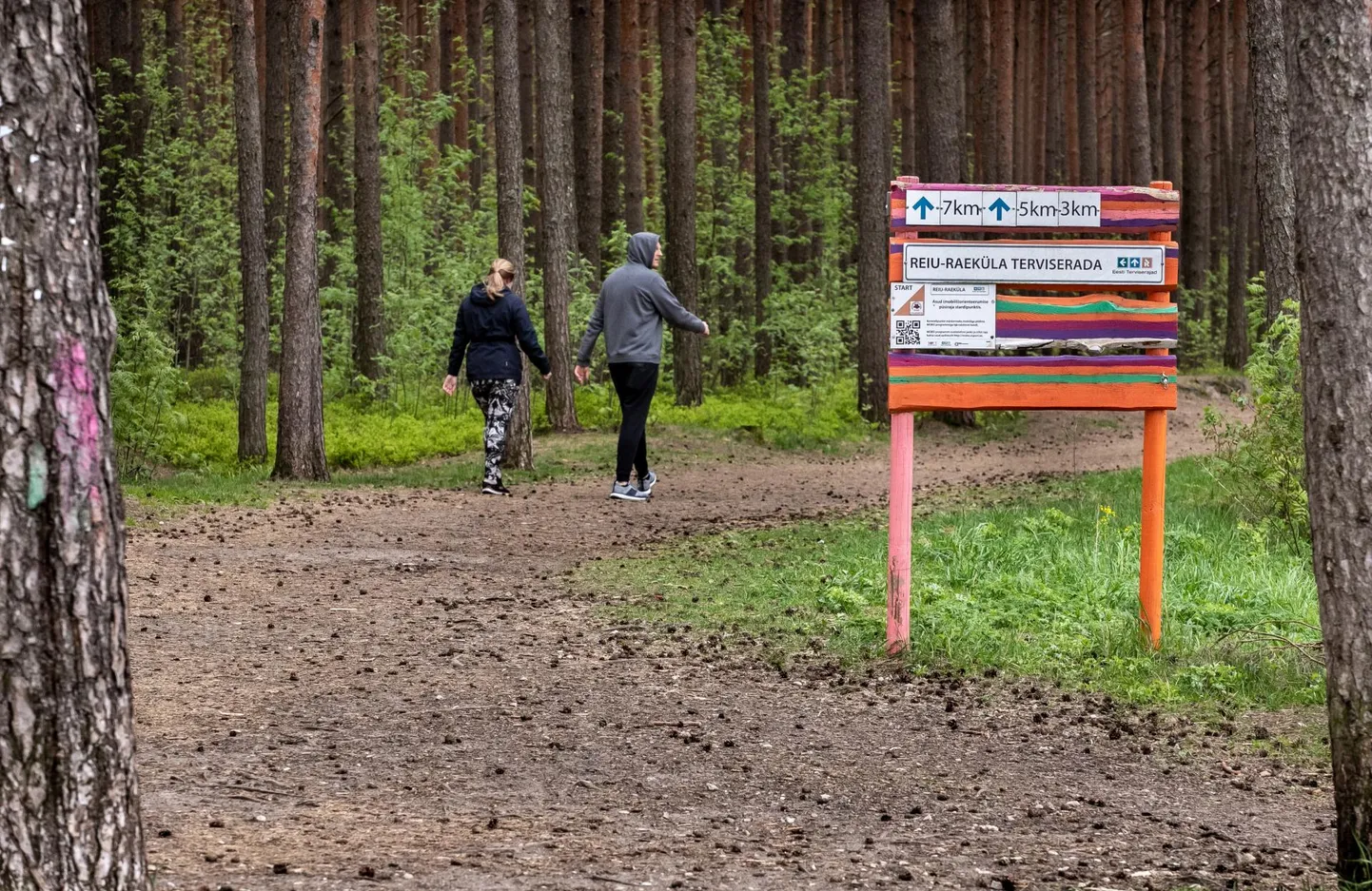 Linnavalitsus on juba mõnda aega plaaninud Reiu–Raeküla terviseradade ­parkla lähedale teha kolme kilomeetri pikkuse valgustatud suusaraja.