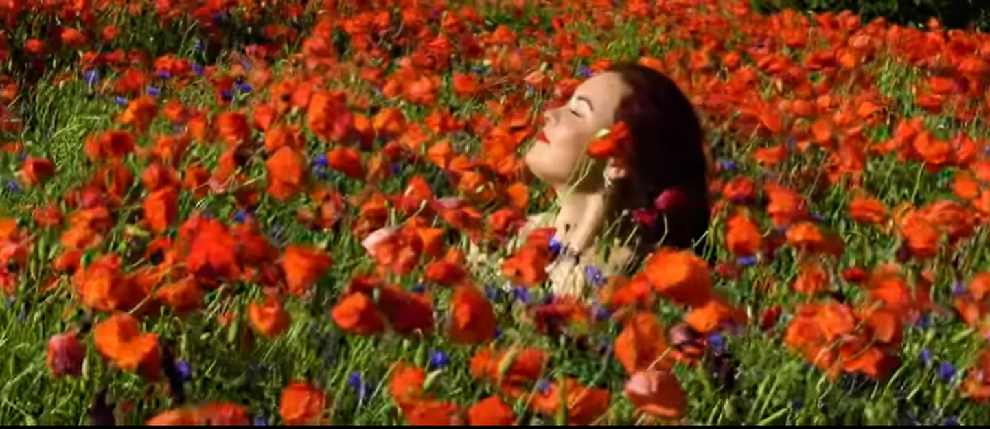 Poppy