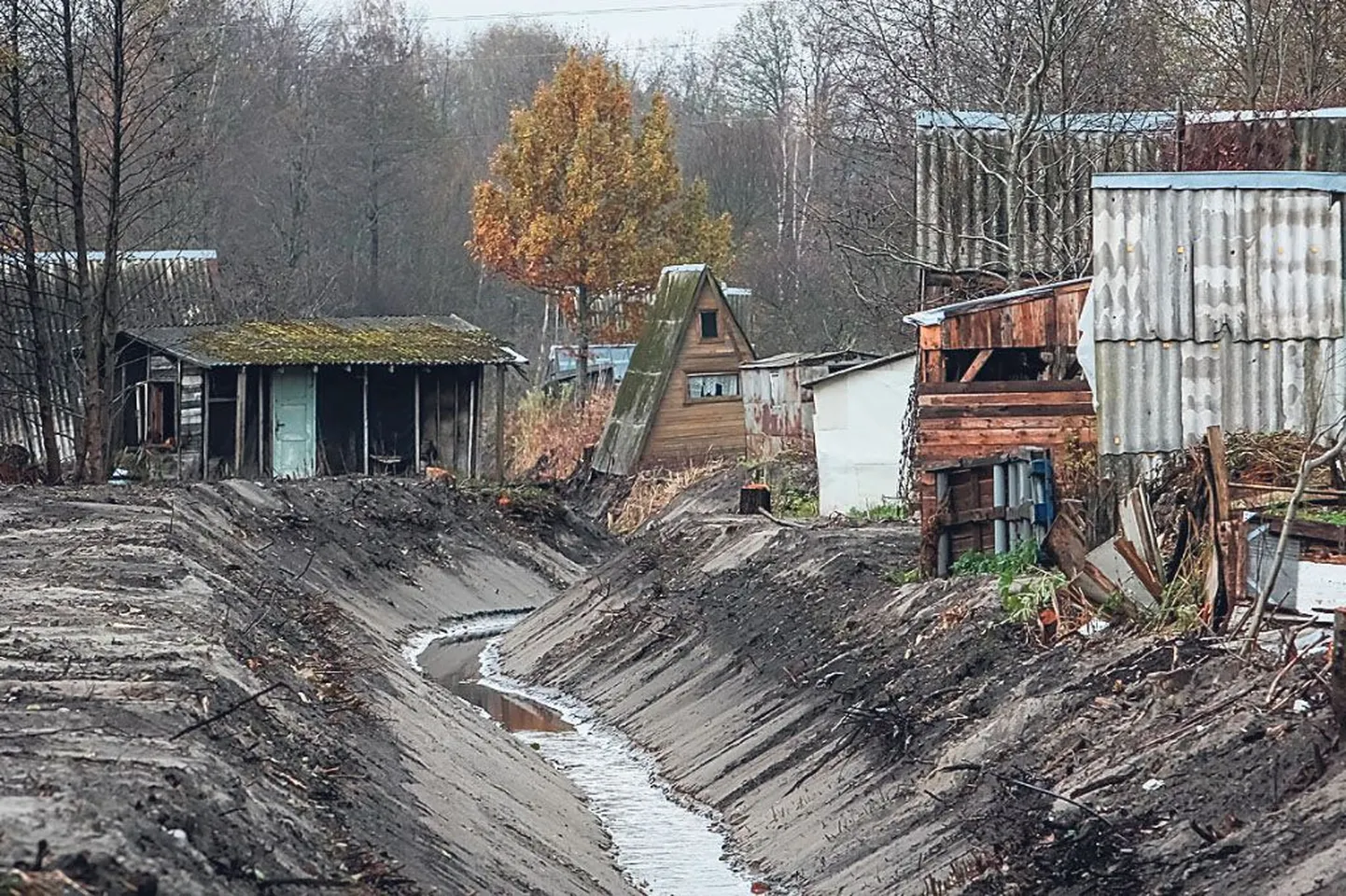 Artikli foto