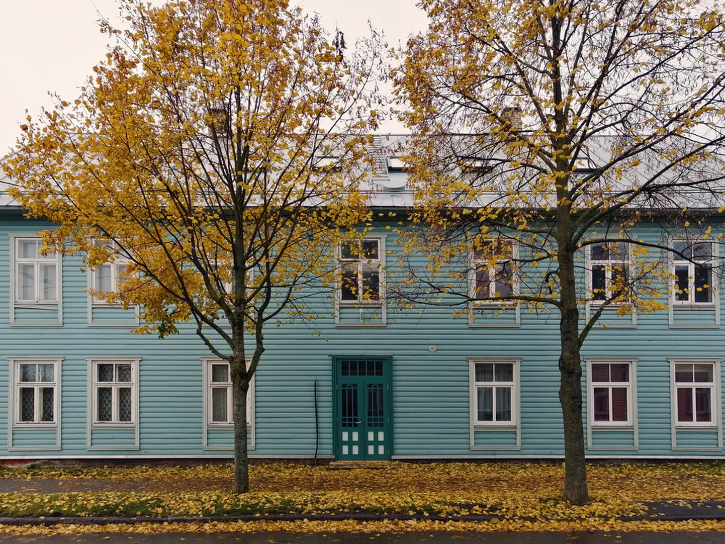 Maja või korter?