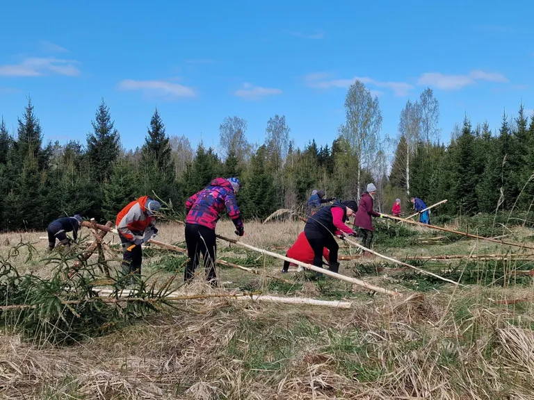 Koguti materjali Pärnumaa tantsupeo roigasaia tarvis.