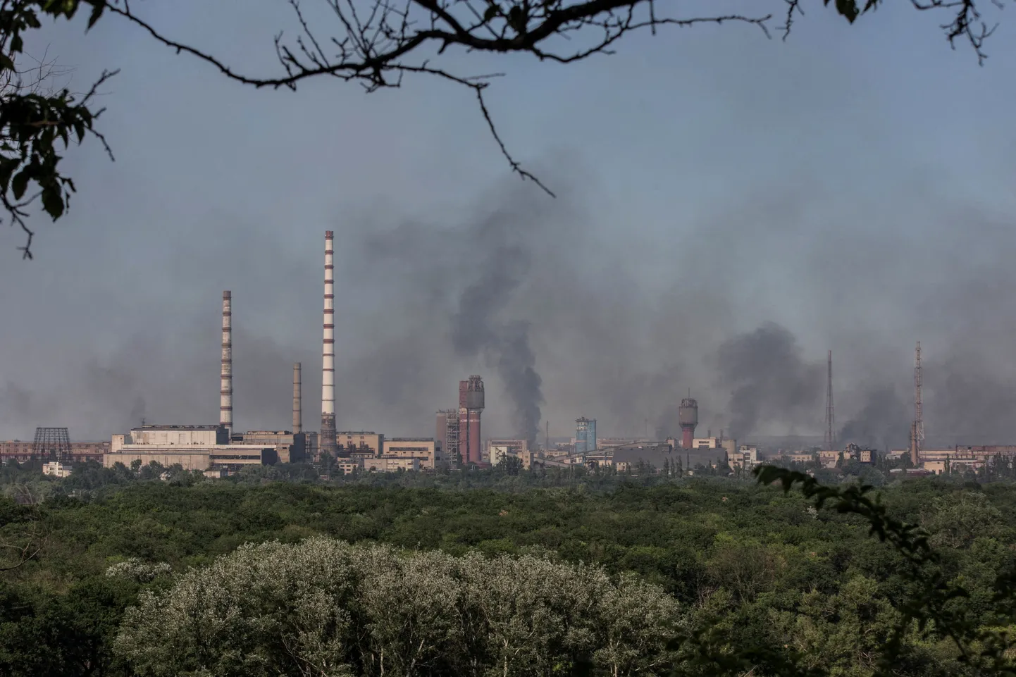 Raksta foto