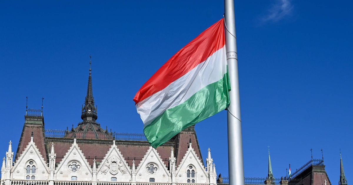 Raskustesse sattunud Eesti Instituut lõpetas Ungaris tegevuse