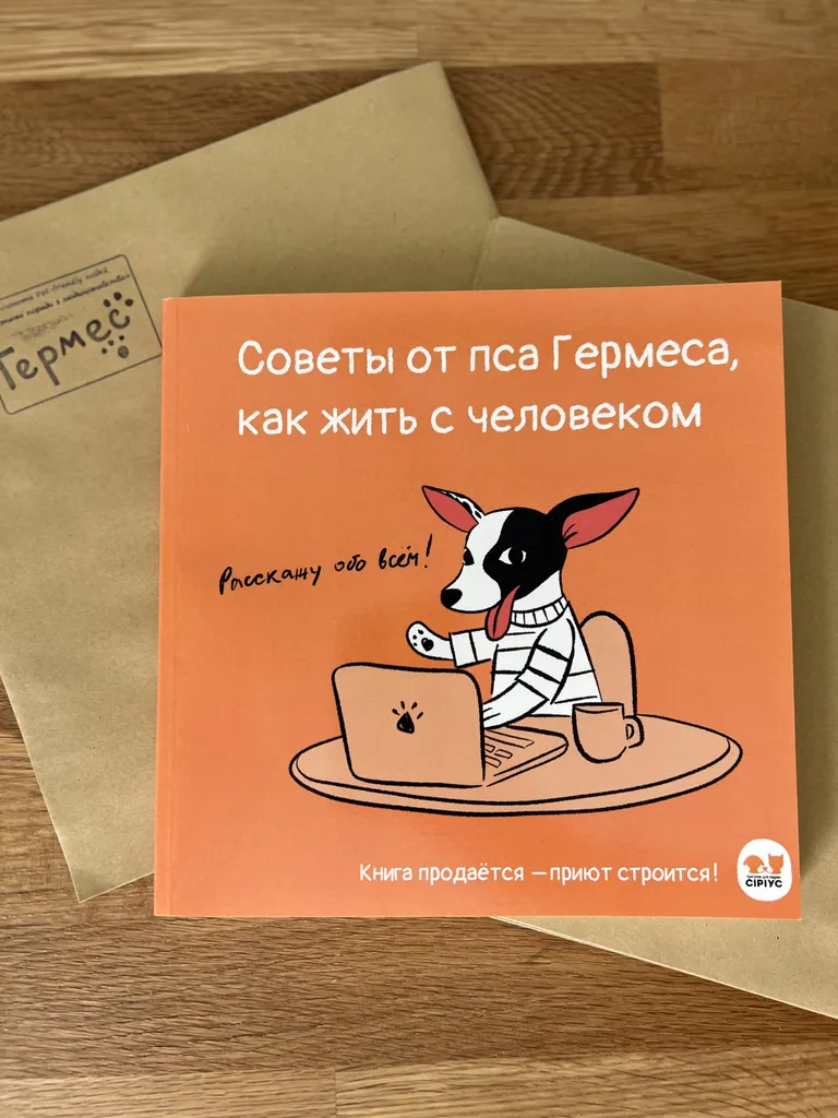 Фото статьи