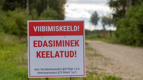 Eestis on tuvastatud 99 seakatku juhtumit