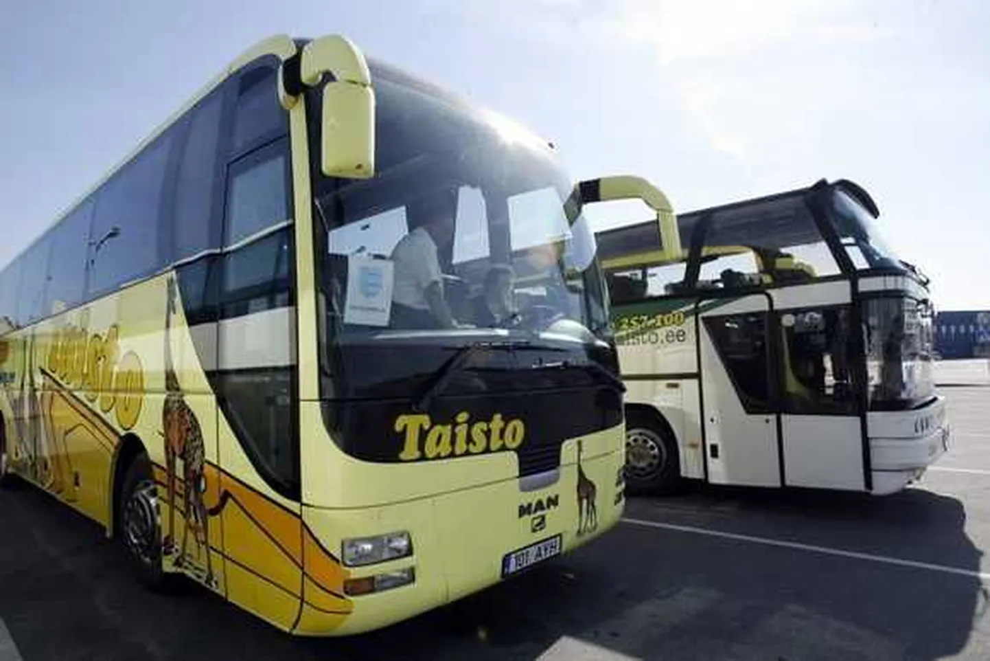 Taisto buss.