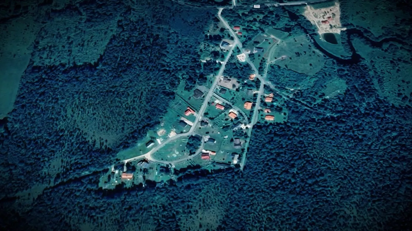 Фото статьи