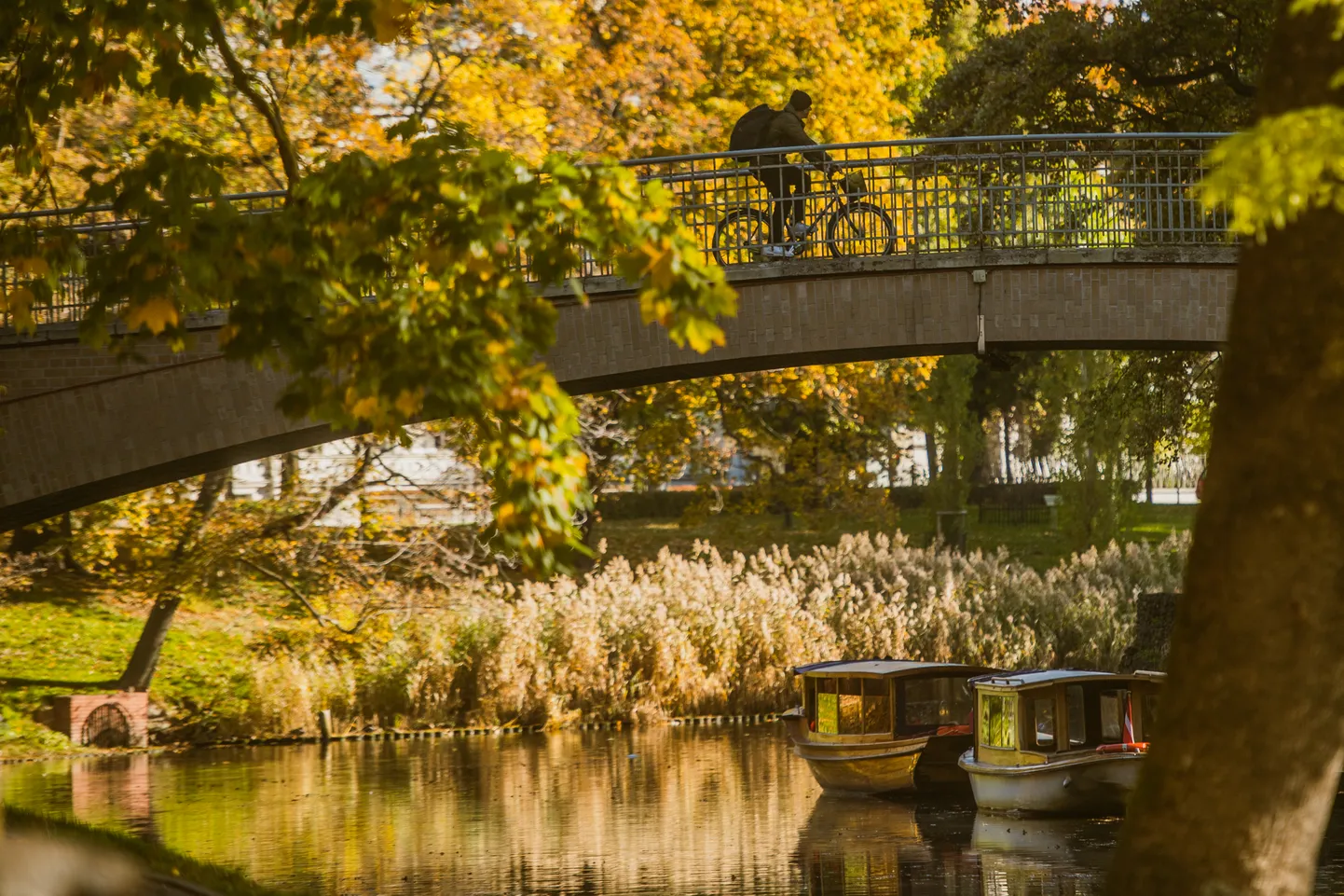 Saulaina rudens diena Rīgā