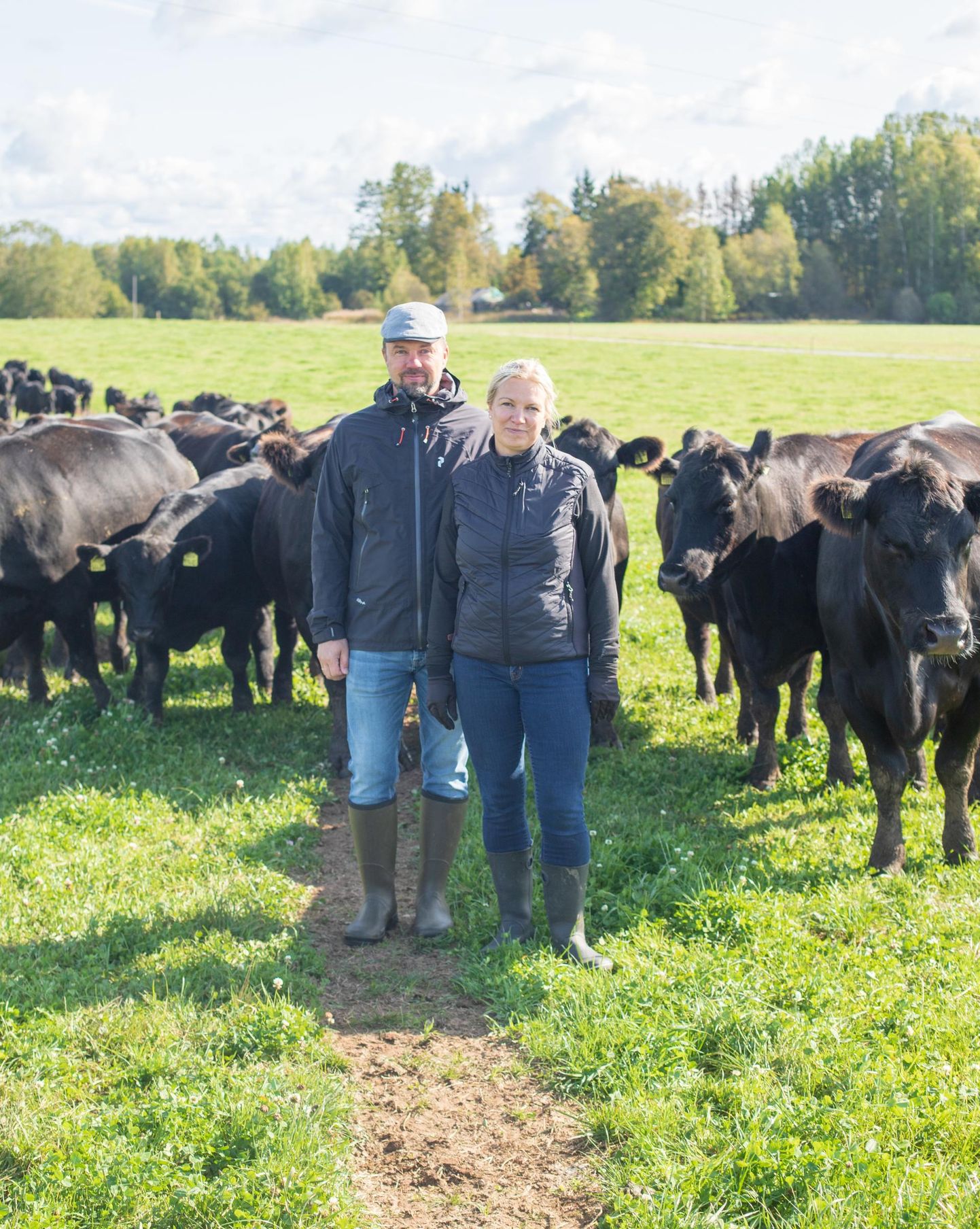 Vilsi farmi asutajad Tiina ja Ivo Tomson valisid aberdiini-anguse veised oma farmi nende heade omaduste poolest. FOTO: Tiit Efert