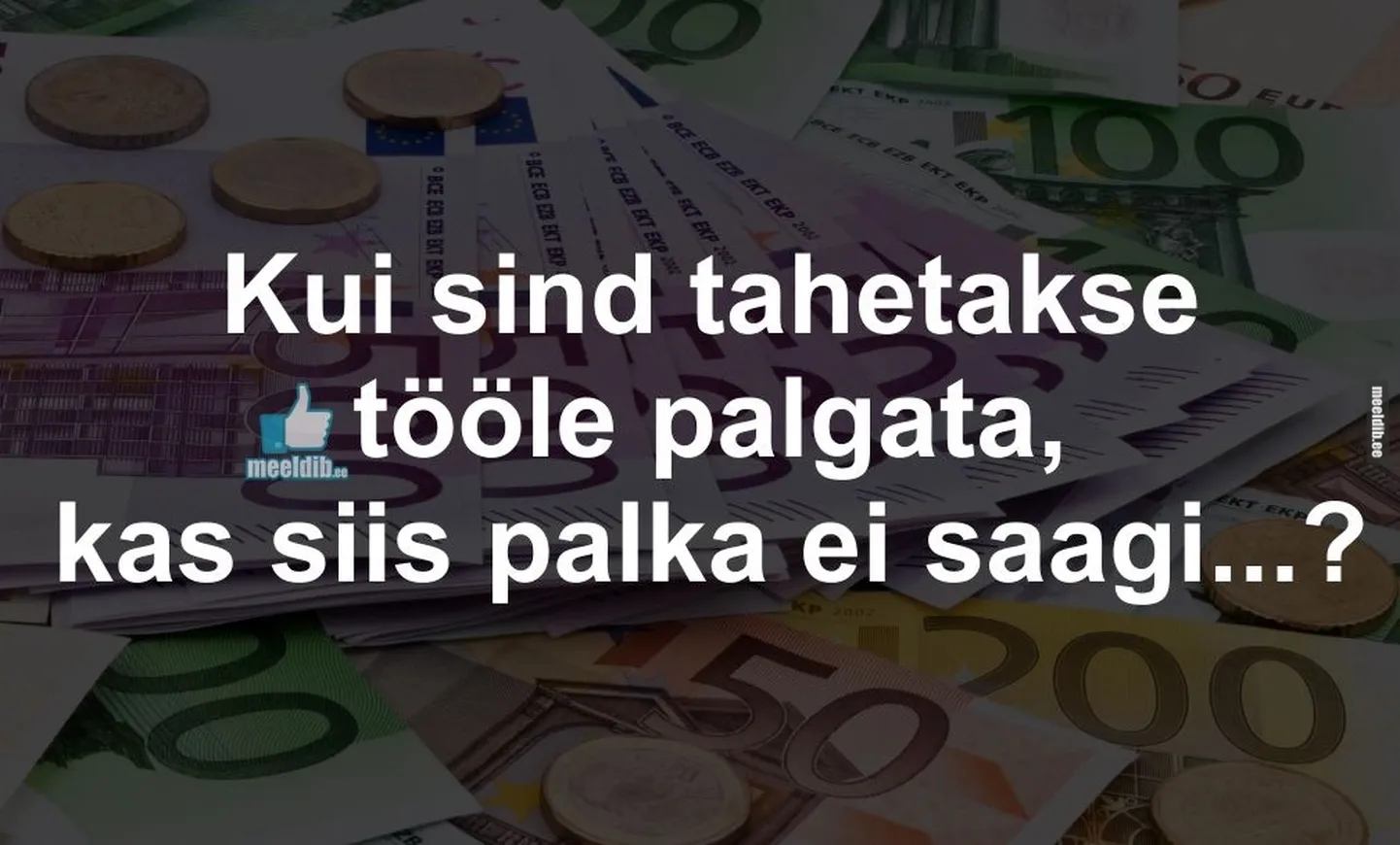 Artikli foto