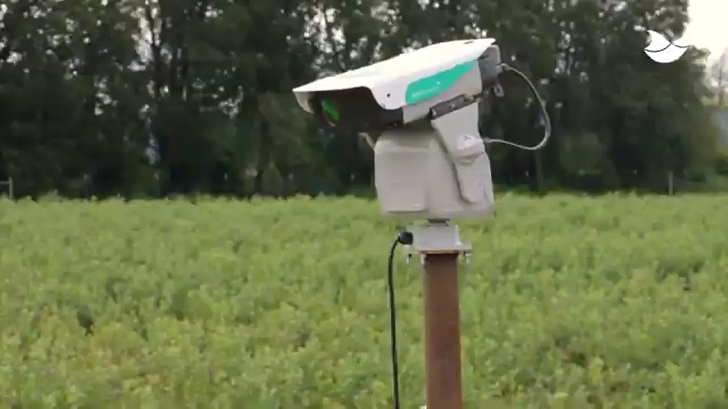 Bird Control Groupi toodetud lindude heidutuslaser.