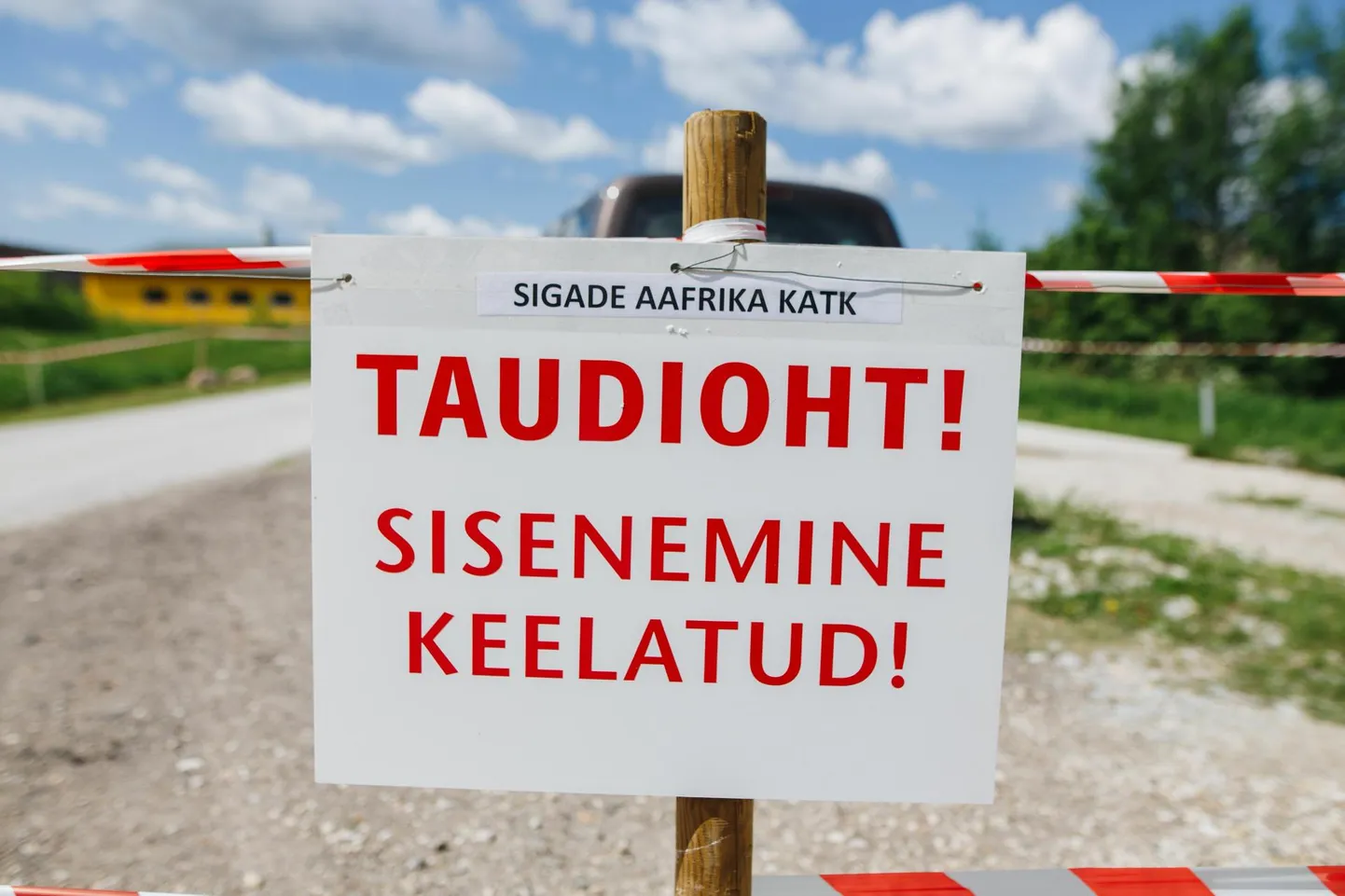 Sigade Aafrika katk jõudis Eestisse 2015. aastal. 