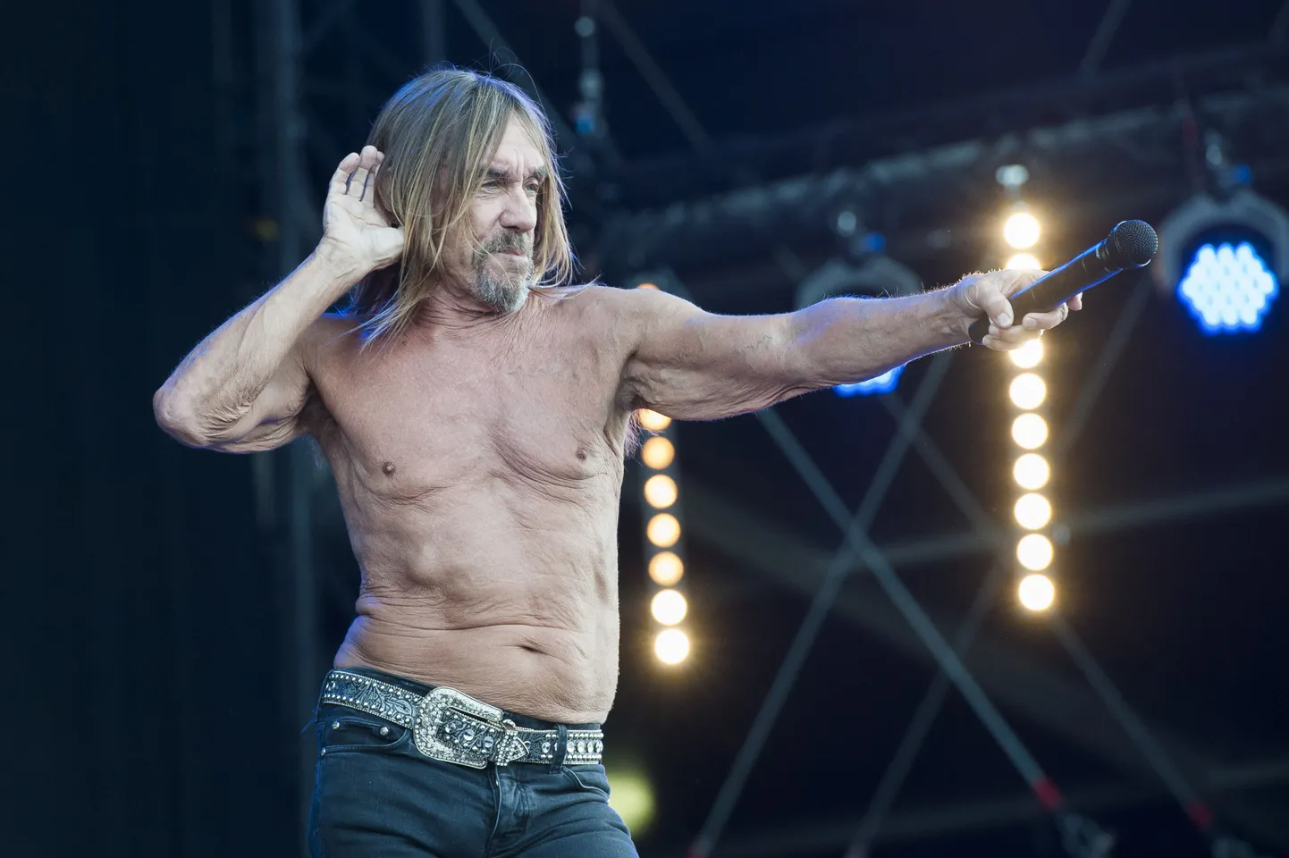 Postivuse üks peaesinejaid on tänavu suurepärase uue plaadi üllitanud vanameister Iggy Pop