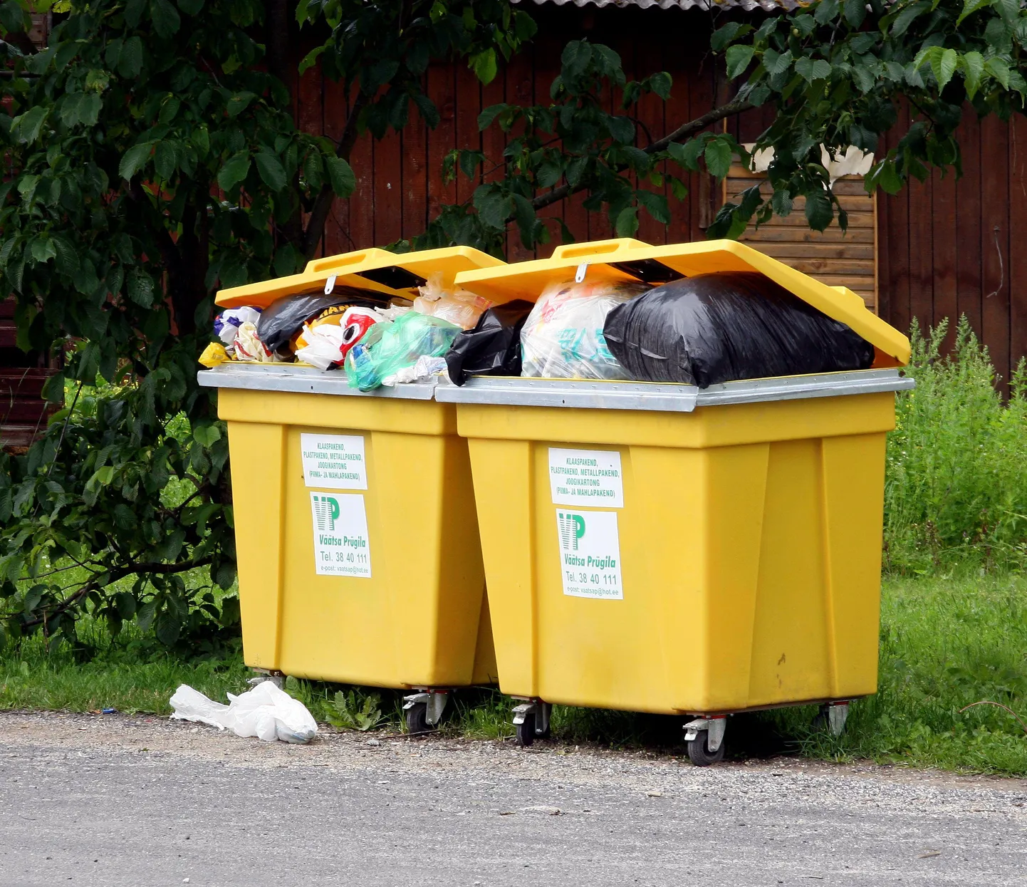 Artikli foto