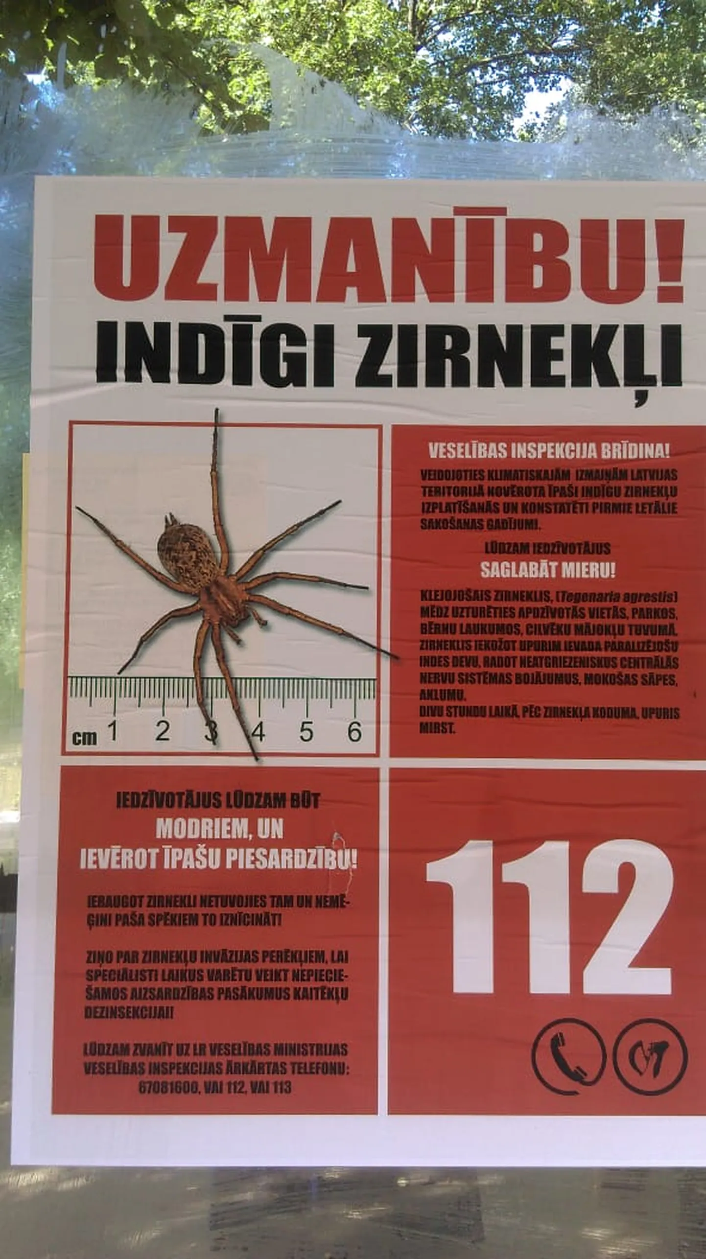 Raksta foto