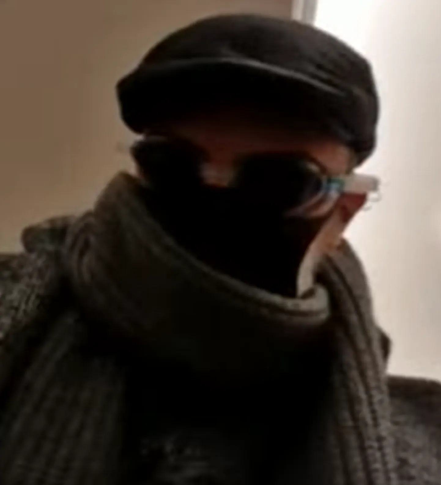 Linnaelanik paneb välja suundudes ette mitu kaitsemaski.