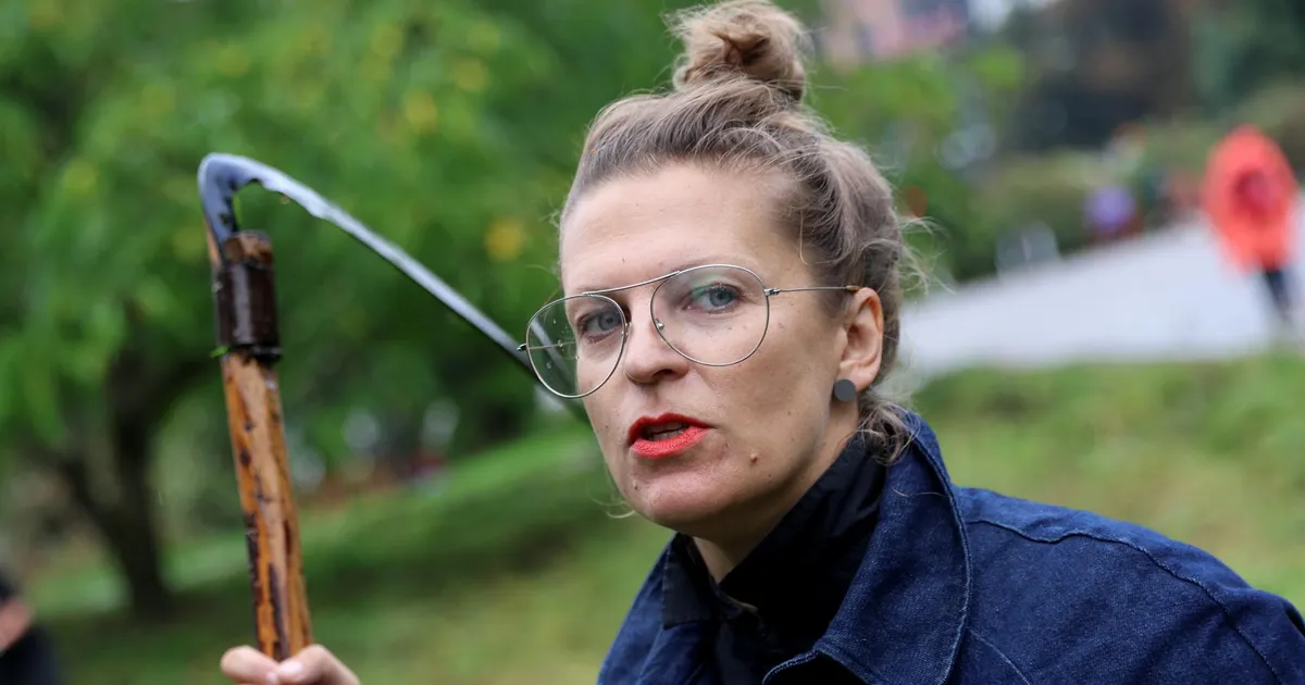 Sellest, kas hobused peaksid, saaksid ja võiksid linnas elada, tehakse aeg-ajalt juttu. Näiteks siis, kui Puiestee tänava Hermonit kuskil tegutsemas nähakse. Ül