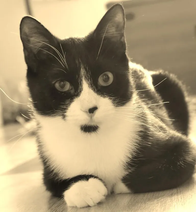 Pablo.