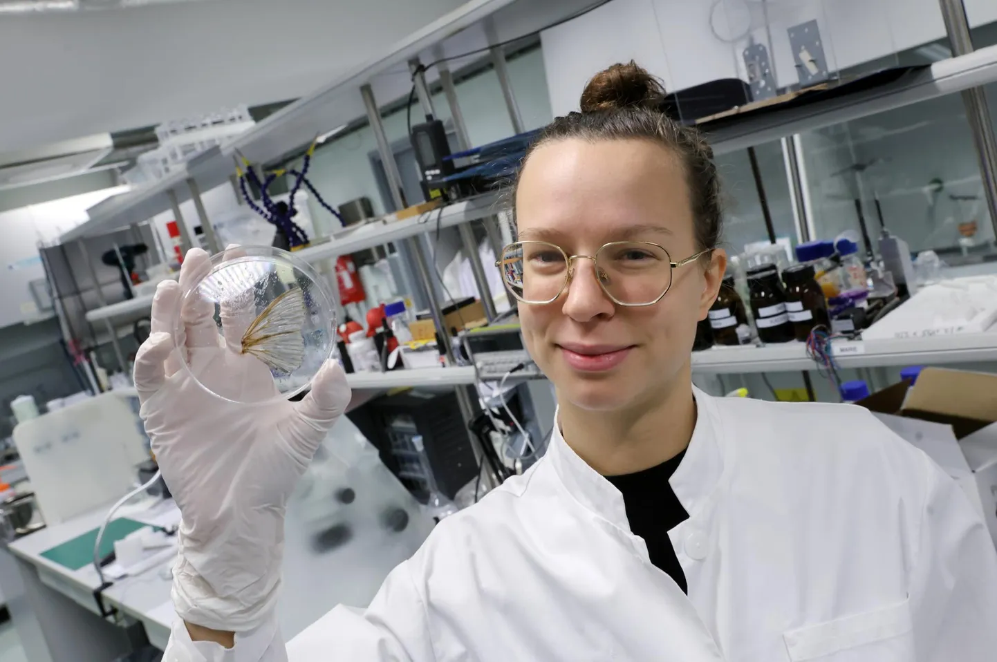 Baltimaade stipendiumi pälvinud Tartu ülikooli tehnoloogia nooremteadur Kadri-Ann Pankratov töötab robotitele välja kunstlikku vereringe-süsteemi, mis on inspireeritud ööliblika tiiva soonestikust.
