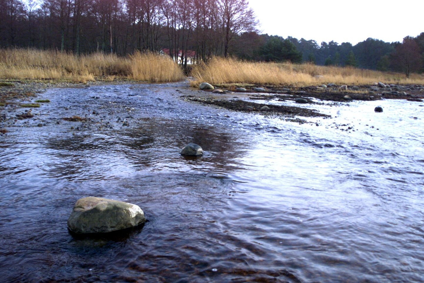 Pärnu jõgi.