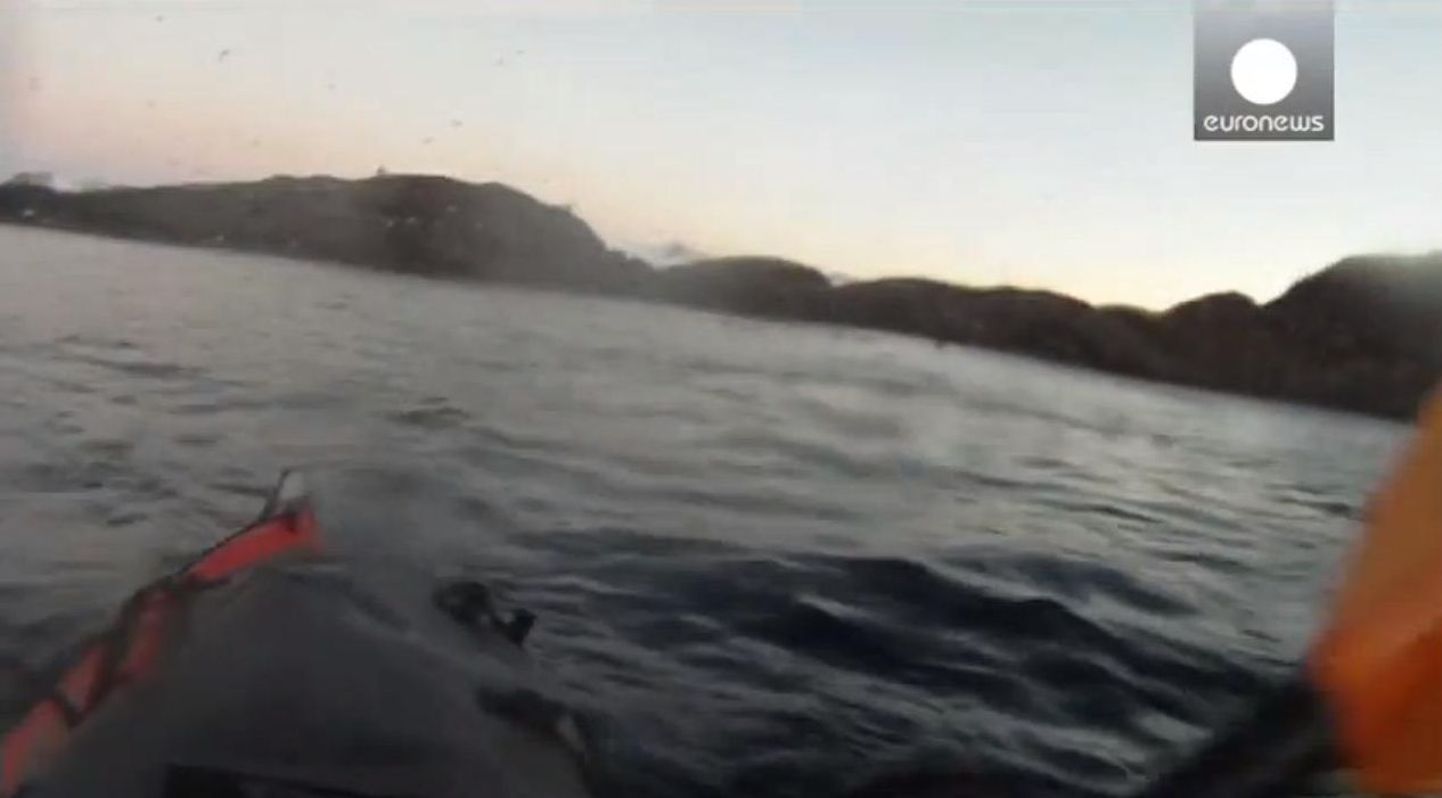 Norralane sõitis vaala seljas