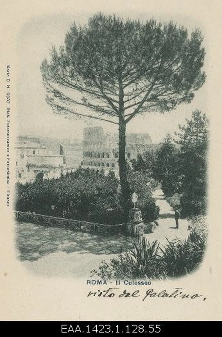 Vaade Colosseumile Palatinuselt, fotopostkaart 1900