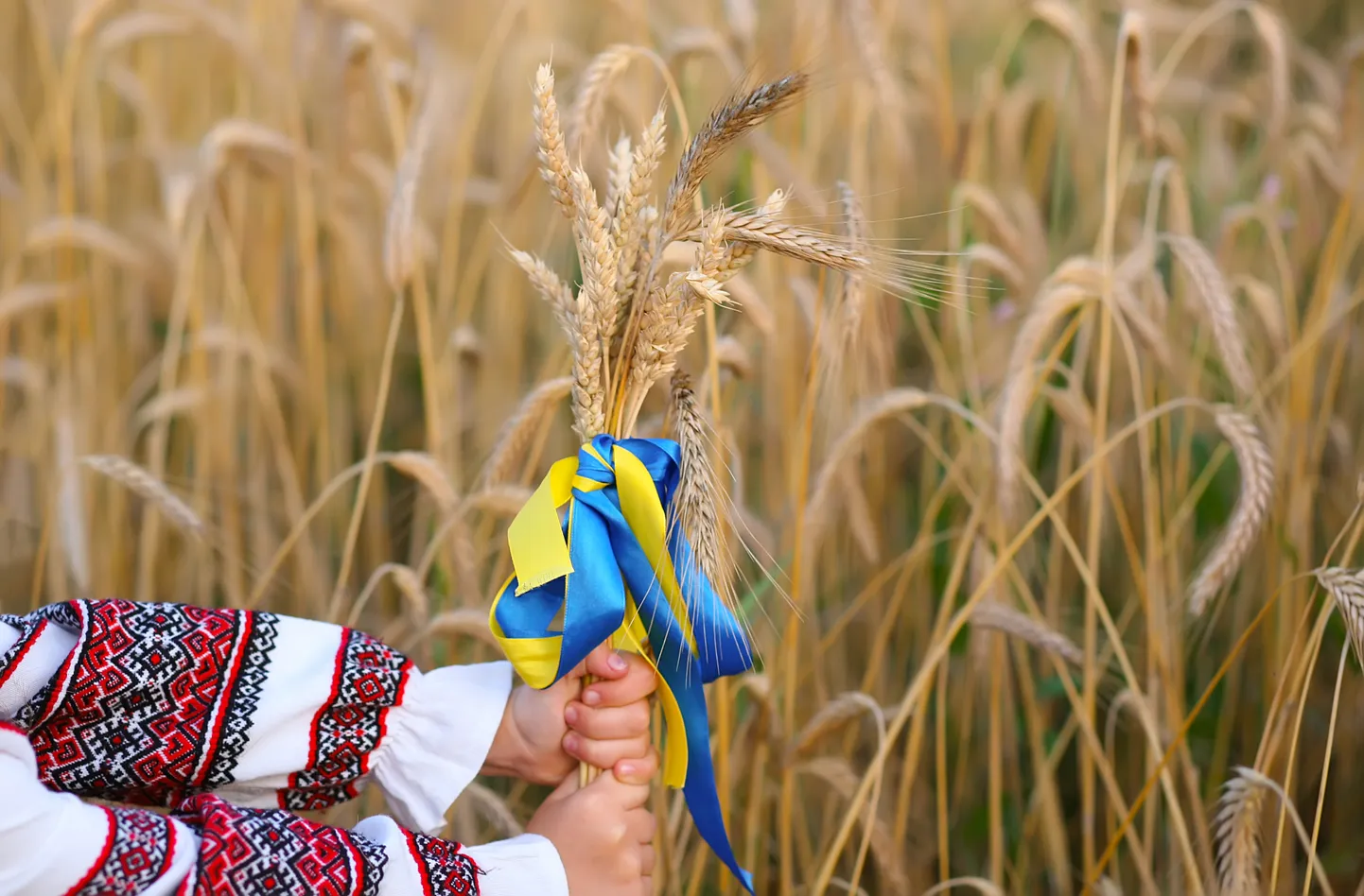 Украина. Иллюстративное фото.
