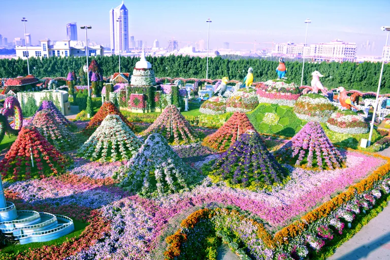 Dubai lilleaed.