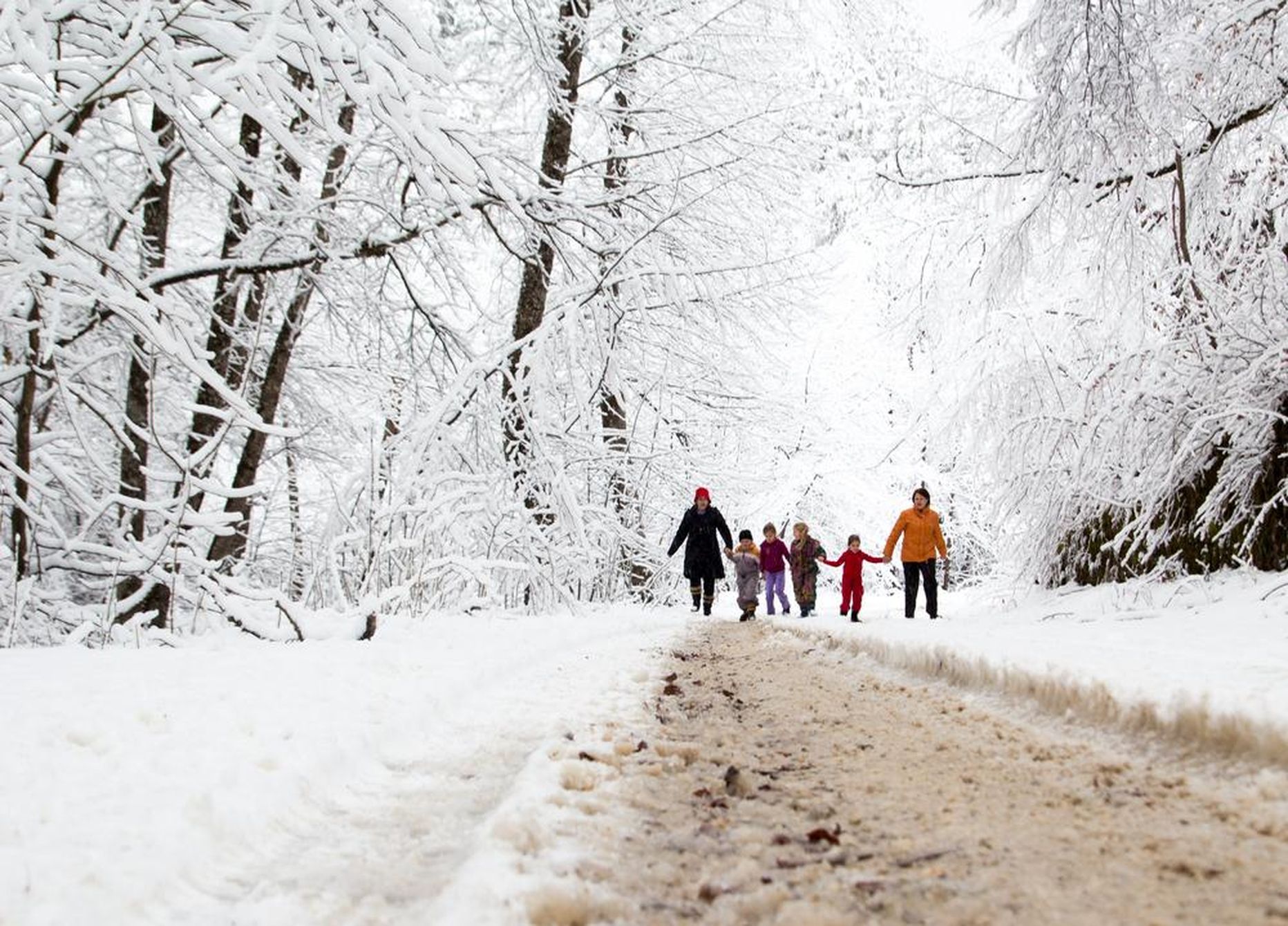 Liikumisaasta viimase kuu pereüritused on juba alanud ja neid toimub kogu Eestis jõulupühadeni välja. 