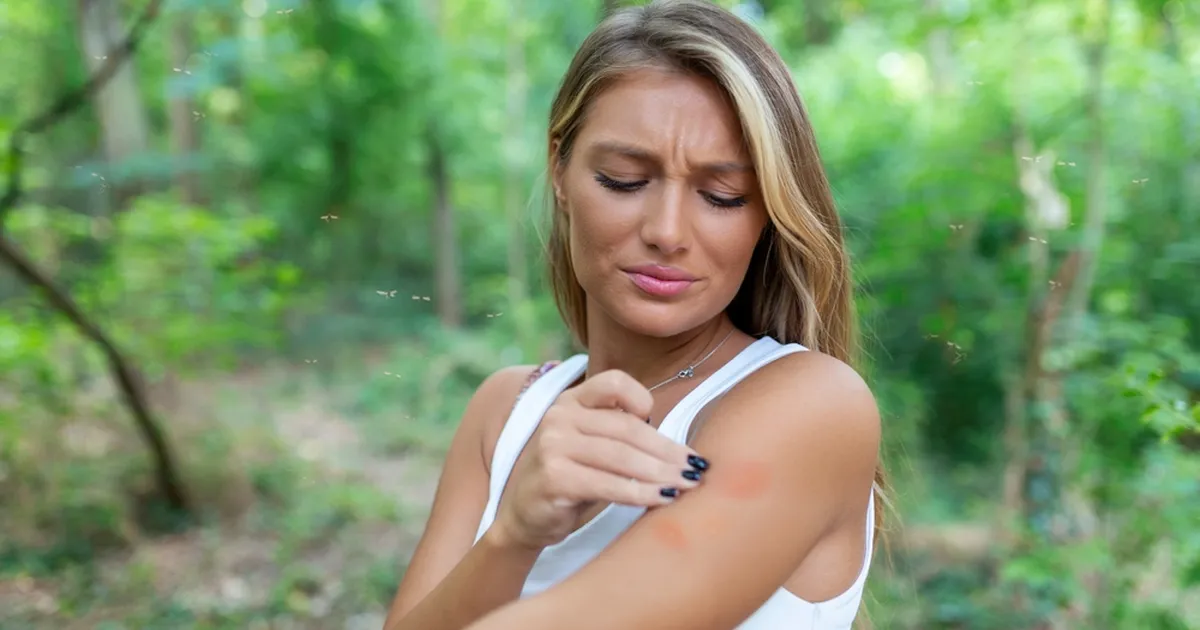 5 motive pentru care țânțarii enervanti te urmăresc