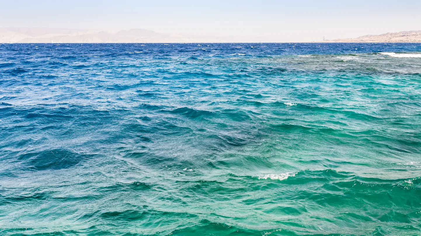Красное море
