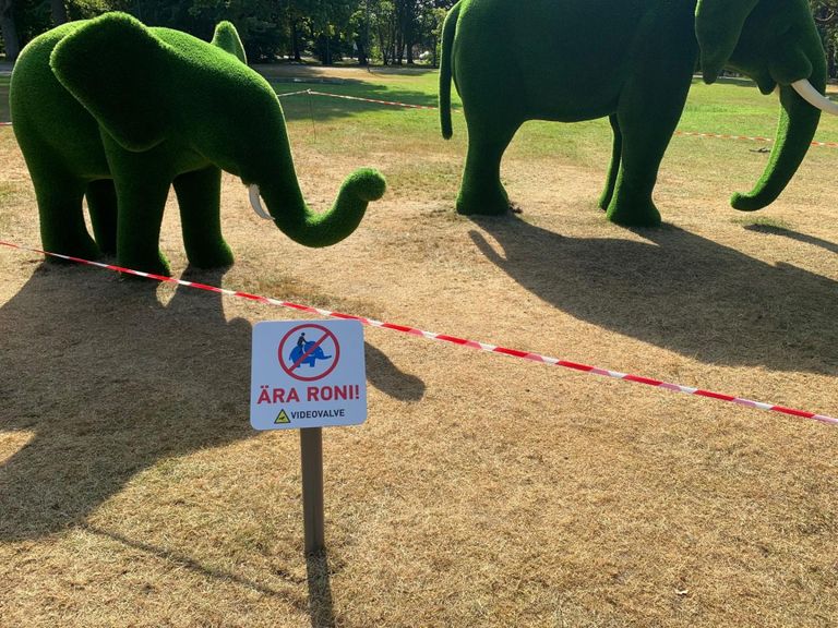 Kuna varem polnud rannapargis koha leidnud elevandikujude juures keelusilti, kippusid nii lapsed kui täiskasvanud neil pildistamiseks turnima. Sellele lõpu tegemiseks paigaldas linnavalitsus londiliste kõrvale vastava märgistuse.