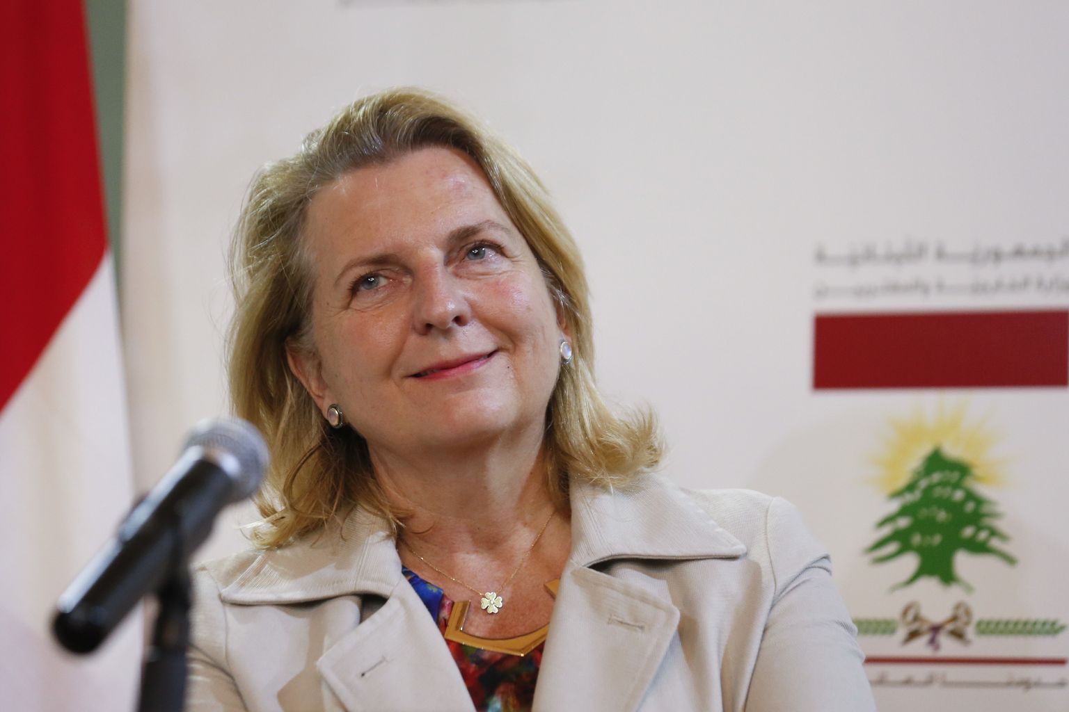 Бывший министр иностранных дел Австрии Карин Кнайсль