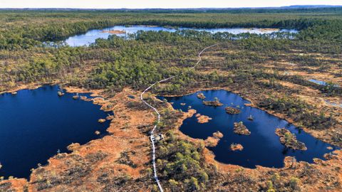 SOOVITUS ⟩ Võtke iga päev väike «päris looduse» hetk