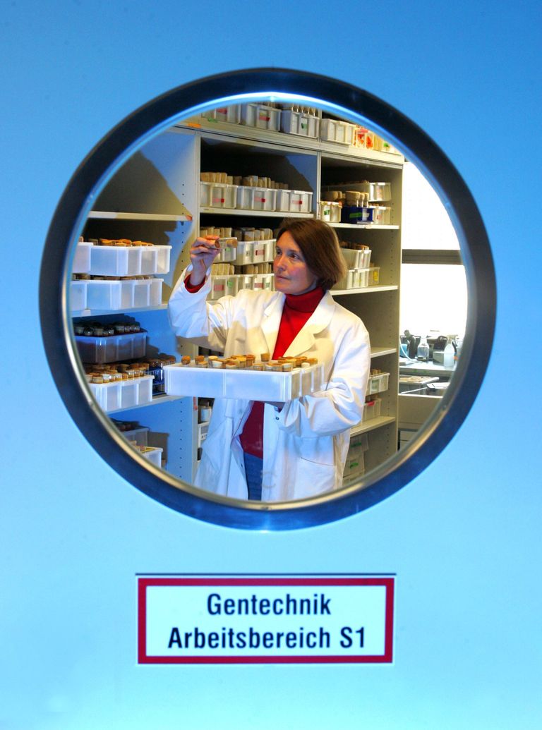 Molekulaarbioloog Suzanne Eaton töötas Saksamaal Dresdenis Max Plancki instituudis