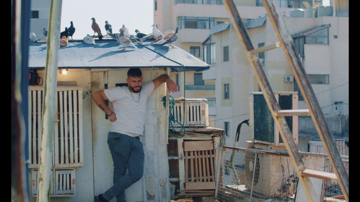 Beirutis aset leidev «Kash Kash» on portreelugu kohalikest meestest, kelle kirglik hobi on tuvide kasvatamine ja tuvivõistluste korraldamise kaudu Beiruti sotsiaalsetest pingetest vabastamine.