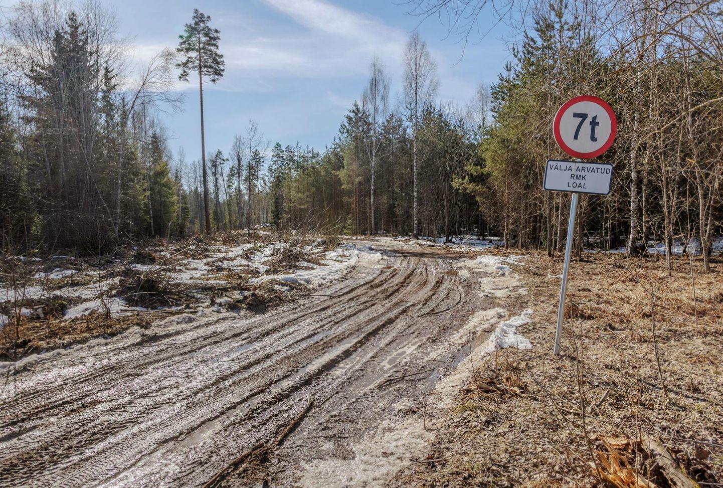 Valga vallas Kaku–Mürgi–Leetuse teega ristuva väiksema metsatee ette on RMK pannud koguni enam kui 7-tonniste sõidukite liikumist keelava märgi.