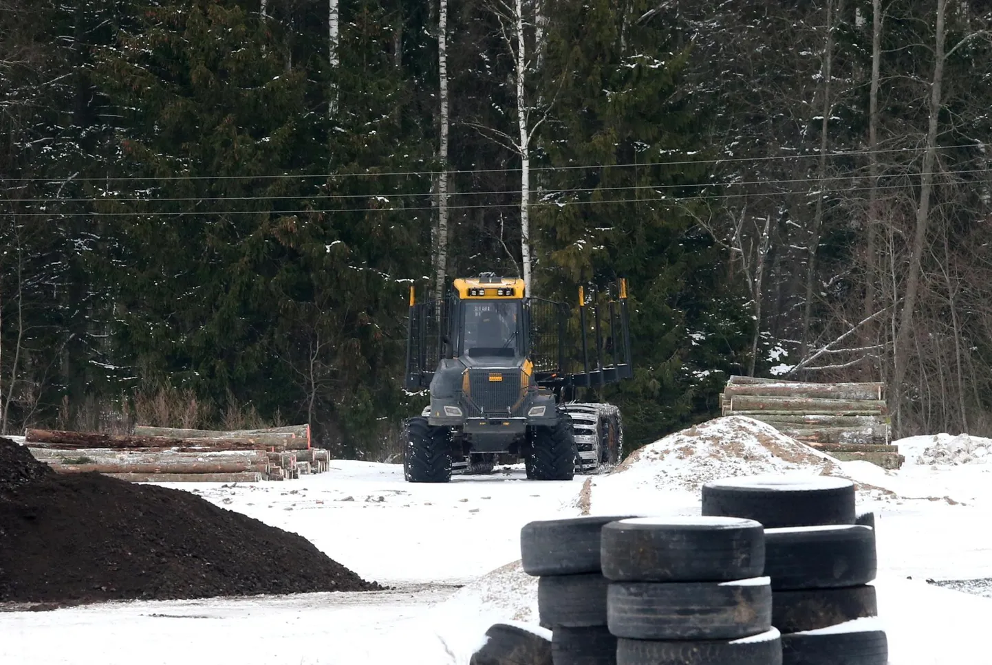 Väljaveotraktor seisis Käo metsa juures eelmisel esmaspäeval mõnikümmend minutit pärast seda, kui RMK oli kohtu korraldusel puude langetamise ajutiselt seisma pannud.